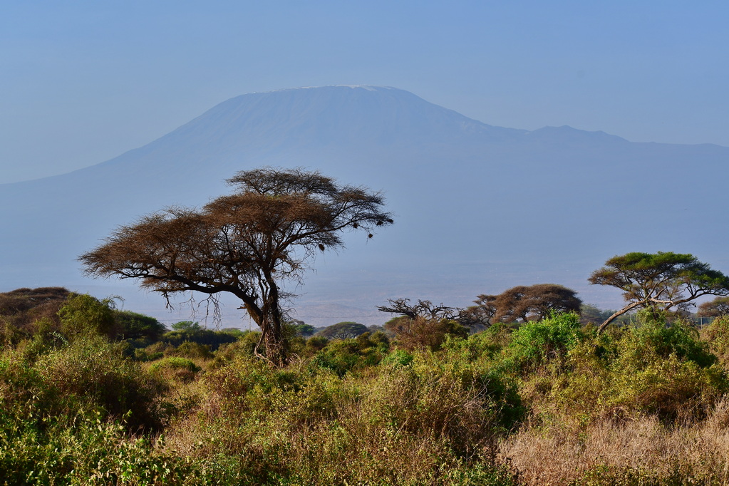 Kilimanjaro